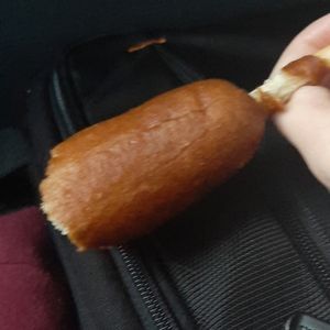 Toy pickle stick for dogs